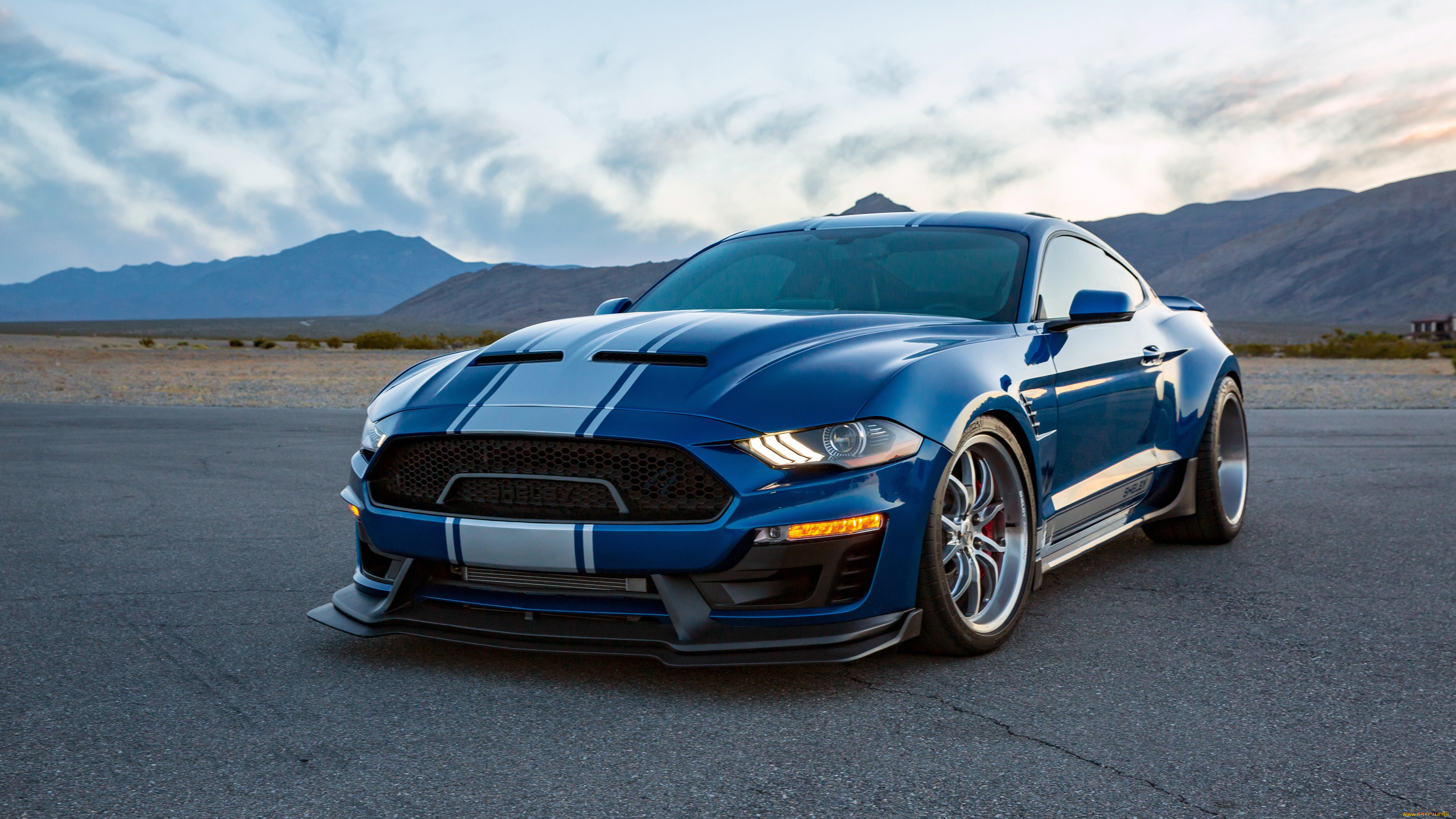 2018 mustang shelby super snake wide body, , mustang, 2018, shelby, super, snake, wide, body, , 